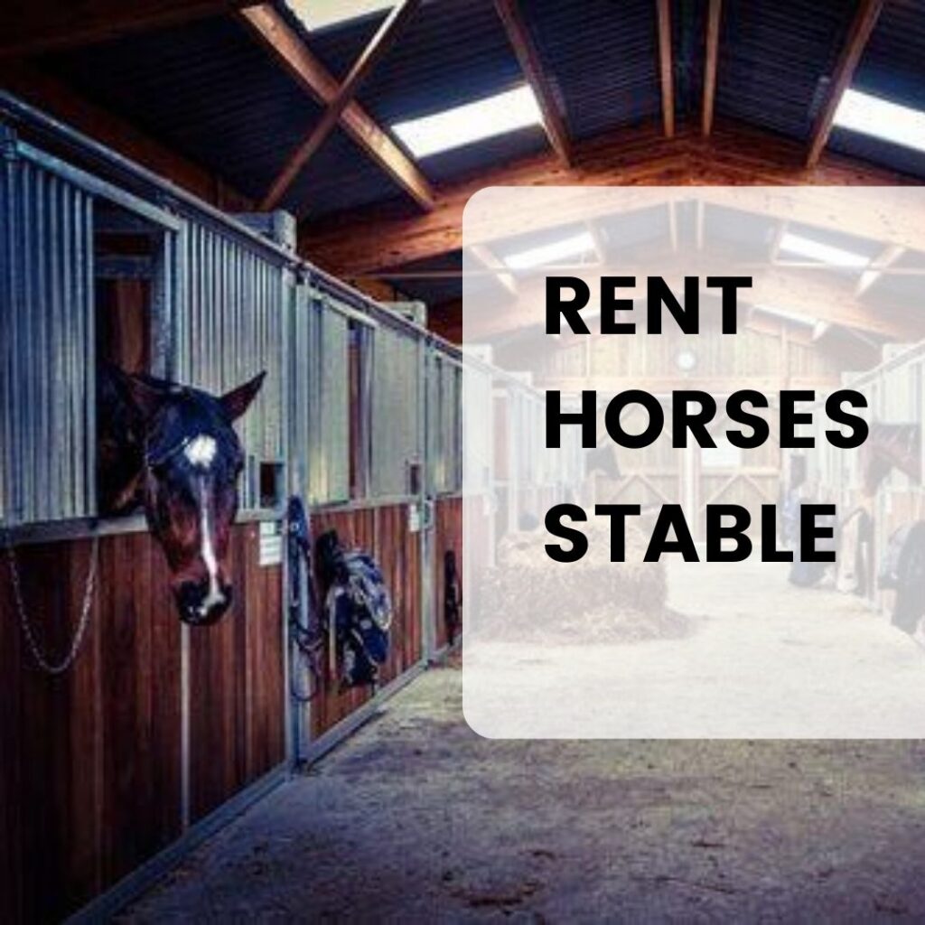 horses stable rent