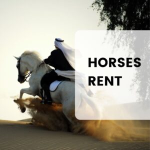Arabic Horses